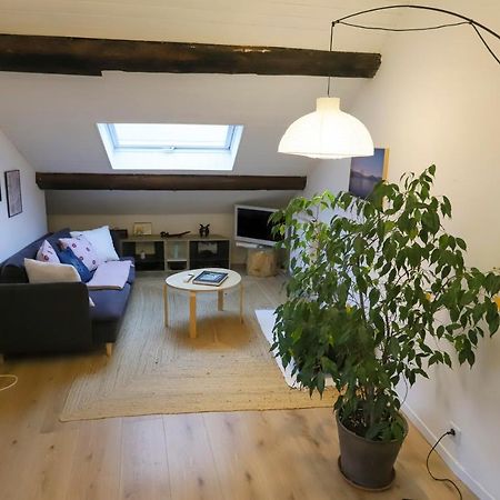 Petit-Coeur Charmant En Centre Ville Apartment Annecy Exterior photo