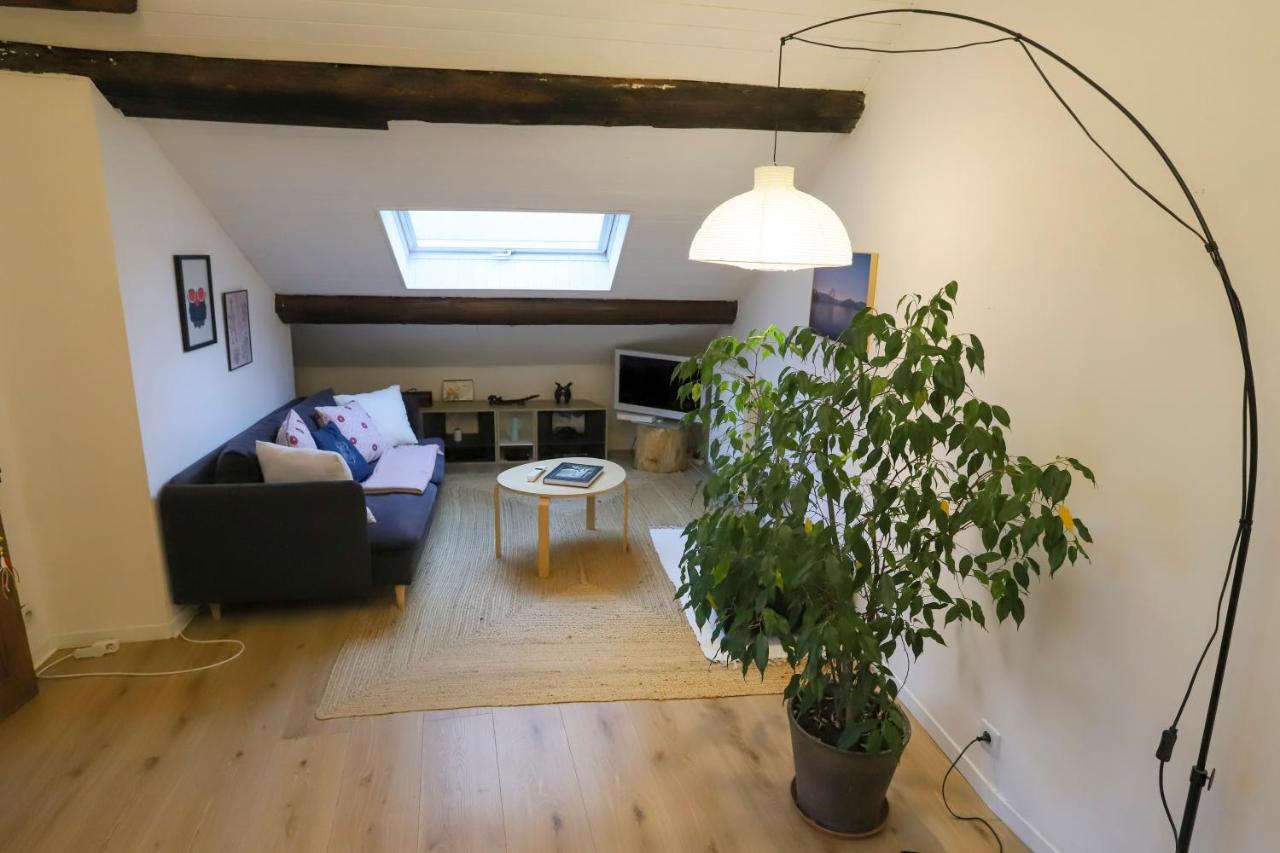 Petit-Coeur Charmant En Centre Ville Apartment Annecy Exterior photo