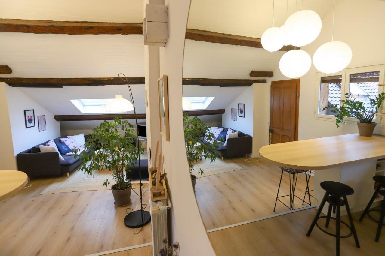 Petit-Coeur Charmant En Centre Ville Apartment Annecy Exterior photo
